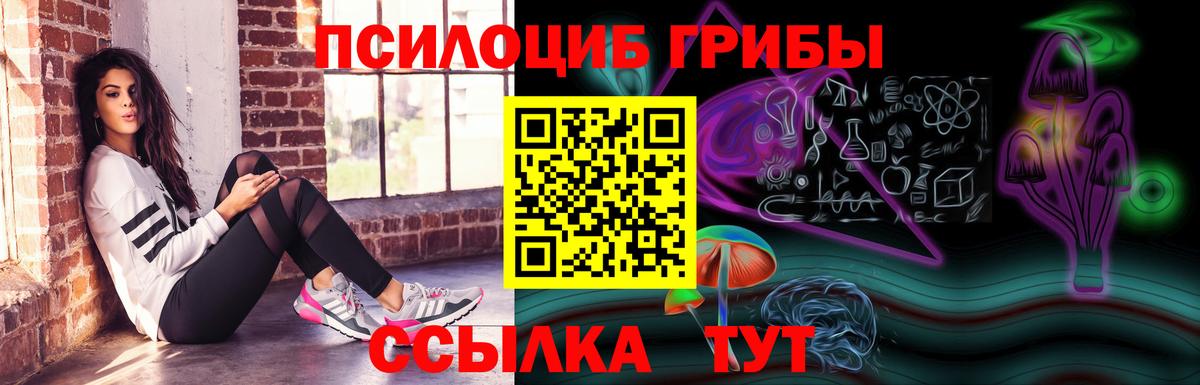 Галлюциногенные грибы прущие грибы Дзержинский